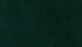 Astor Velvet, Evergreen